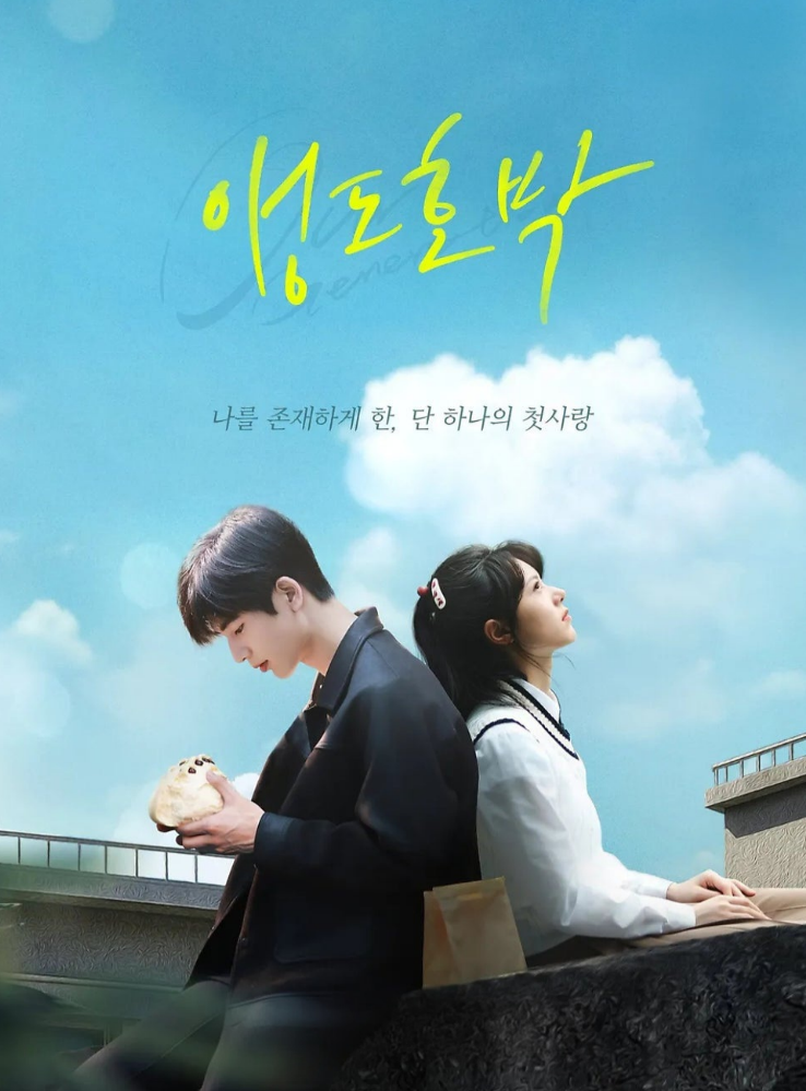 앵도호박